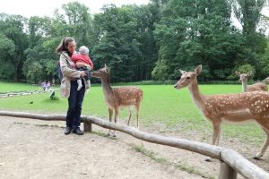 Reisetipps Düsseldorf mit Baby Tiere