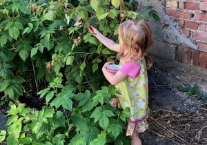 Sommer-Aktivitäten für Kinder Beeren
