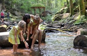 Karlstalschlucht mit Kindern top Ausflug in der Pfalz Fluss