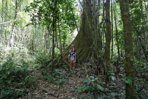 Wandern im Khao Sok Nationalpark ohne Guide