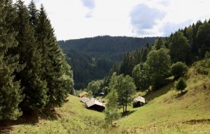 Urlaub auf dem Bauernhof im Schwarzwald