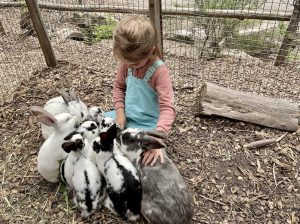 Urlaub auf dem Bauernhof Tiere füttern