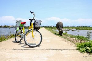Verschiedene Transportmittel als Familie in Vietnam nutzen